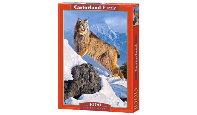Castorland puzzle Austere Ascent 1000pcs