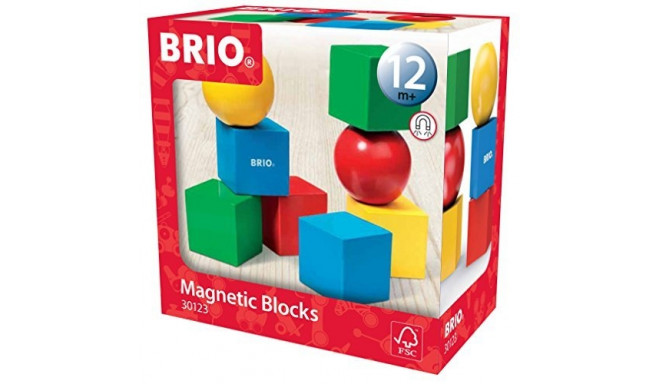 BRIO Magnetic Wooden Blocks - 30123