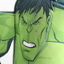 3D Bērnu soma Hulk The Avengers 78438