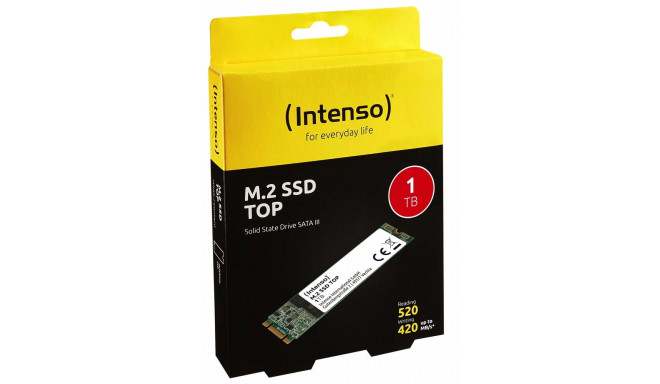 Intenso SSD 1.0TB Top Perform  M.2  SATA