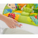 Toy interactive Fisher Price BG CMR10 (From 1 month)