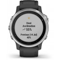 Garmin Fenix 6S, silver/black