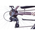 City bicycle for men 23 XL ROMET WAGANT plum