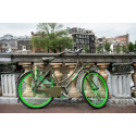 City bicycle for women SALUTONI Camouflage 28 inch 56 cm Shimano Nexus 3 speed