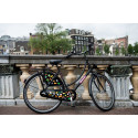 Linnajalgratas naistele SALUTONI Badges 28 tolli 56 cm Shimano Nexus 3 käiku