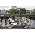 Linnaratas naistele SALUTONI Dutch oma bicycle Glamour 28 tolli 50 cm