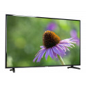 Samsung televiisor 43" 4K LED SmartTV UE43NU7092UXXH
