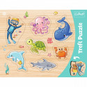 Frame-shaped puzzles- Underwater world