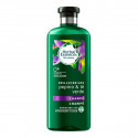 Elustav šampoon Bio Brillo Pepino & Té Verde Herbal (400 ml)