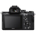 Sony a7 II + Tamron 24mm f/2.8