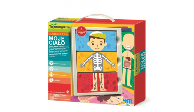 4M developmental toy My body system