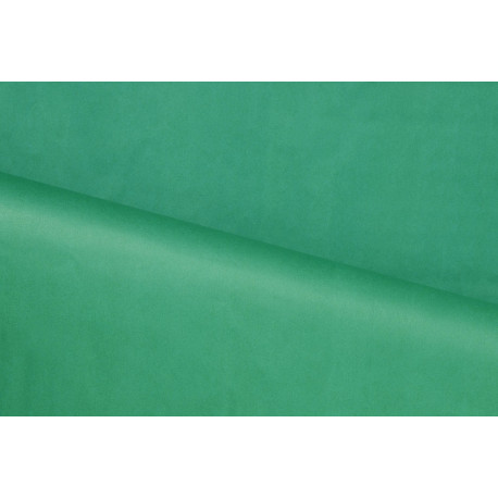 Siidipaber roheline, 18g, 500 x 700 mm, 25 lehte