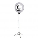 StudioKing LED Ring Lamp Set LED-480ASK with Light Stand