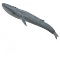 COLLECTA Blue whale, 88834
