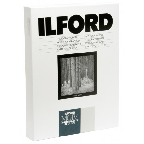 1x 10 Ilford MG IV RC 44M 30x40