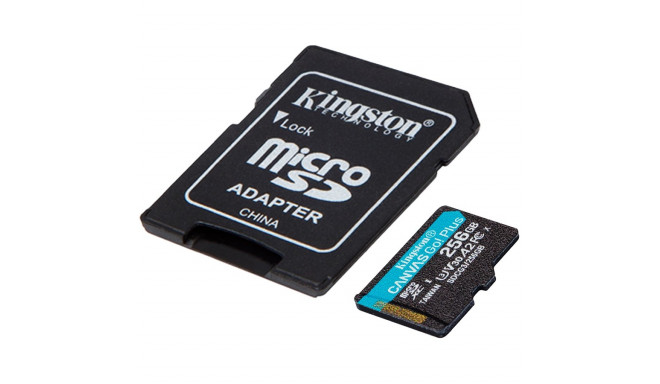 Kingston 256GB microSDXC Canvas Go Plus 170R A2 U3 V30 Card + ADP