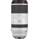 Canon RF 100-500mm f/4.5-7.1L IS USM lens