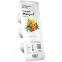 Click & Grow Smart Garden refill French Marigold 3pcs