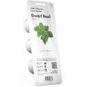 Click & Grow Smart Garden refill Kääbusbasiilik 3tk