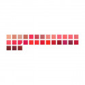 Lipstick Rouge Coco Chanel (102 - noir moderne)