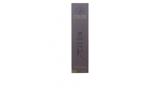 I.C.O.N. ECOTECH COLOR natural color #4.0 medium brown