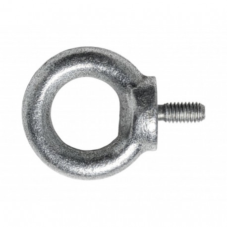 Aaspolt M10 Zn DIN 580