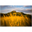 Lensbaby Spark 2.0 Nikon F