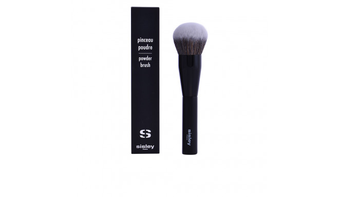 SISLEY PINCEAU poudre 1 u