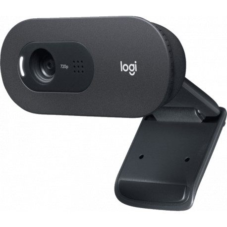 Logitech webcam C505e HD