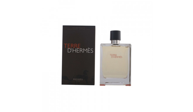 Hermes Terre D'Hermes Edt Spray (200ml)
