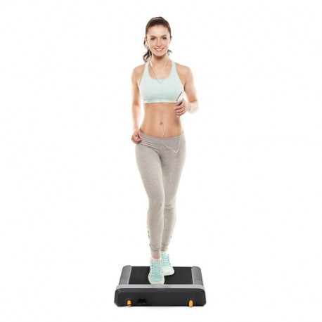 Jooksulint Flow Fitness DTM100i