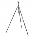 Pro 2.0 Winston Carbon tripod & AirHed Pro Grey