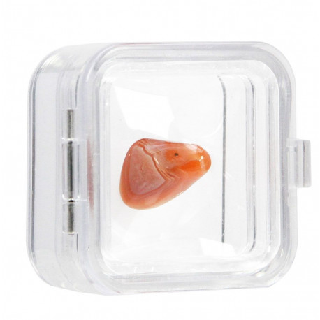 SAFE 3D esitluskarp - MAXI