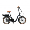 Blaupunkt Folding E-bike FRANZI 500, 250 W, 2