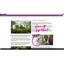 Microsoft Windows 10 Home Full packaged product (FPP) 1 license(s)