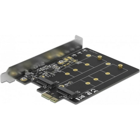 DeLOCK PCI Express x1 card to 2 x internal M.2 Key B, adapter