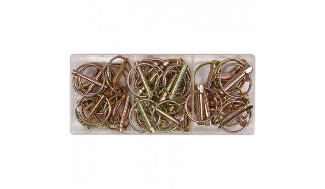 Lukustustihvtide Komplekt (50 Tk) YT-06787 YATO