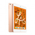 iPad Mini Wi-Fi + Cellular 64GB Gold 5th Gen