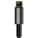 Baseus Tungsten USB - Lightning cable 2,4 A 1 m black (CALWJ-01)