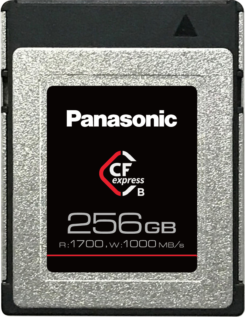 PANASONIC RP-CFEX256