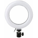 Platinet ring light PMRL6 Vlog LED Desktop 6"