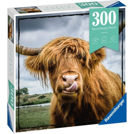 300 PCS.
