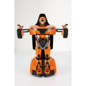 RASTAR RC RS, transformeeritav auto, 74720