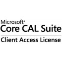 Microsoft Core CAL Suite, 1 CAL, L/SA, OLP, EN English