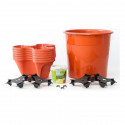 Vertikaalne aiakomplekt Irisana Terracota Ecogarden Plastmass Terrakota (45 x 45 cm)