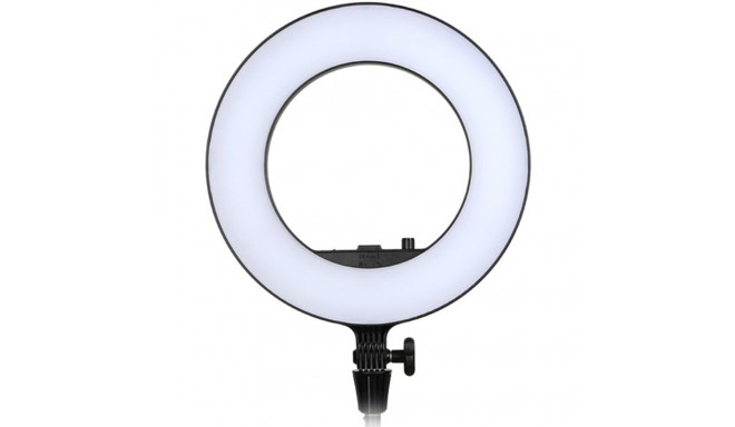 Godox ring light LR180 LED, black