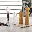 Spice Grinder Quid Hábitat Transparent (18 cm)