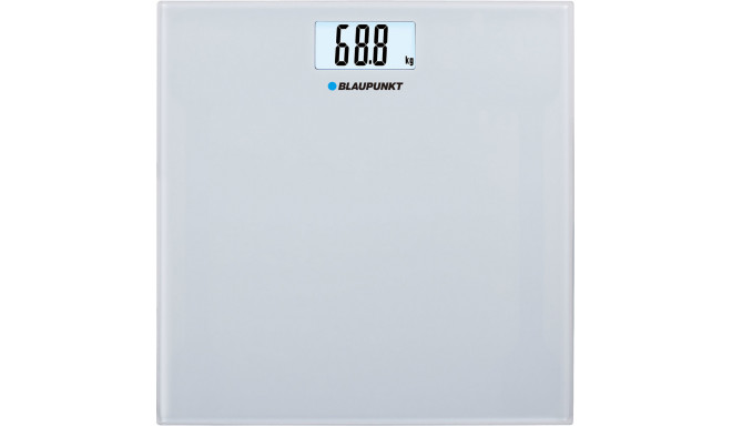 Blaupunkt scale BSP301
