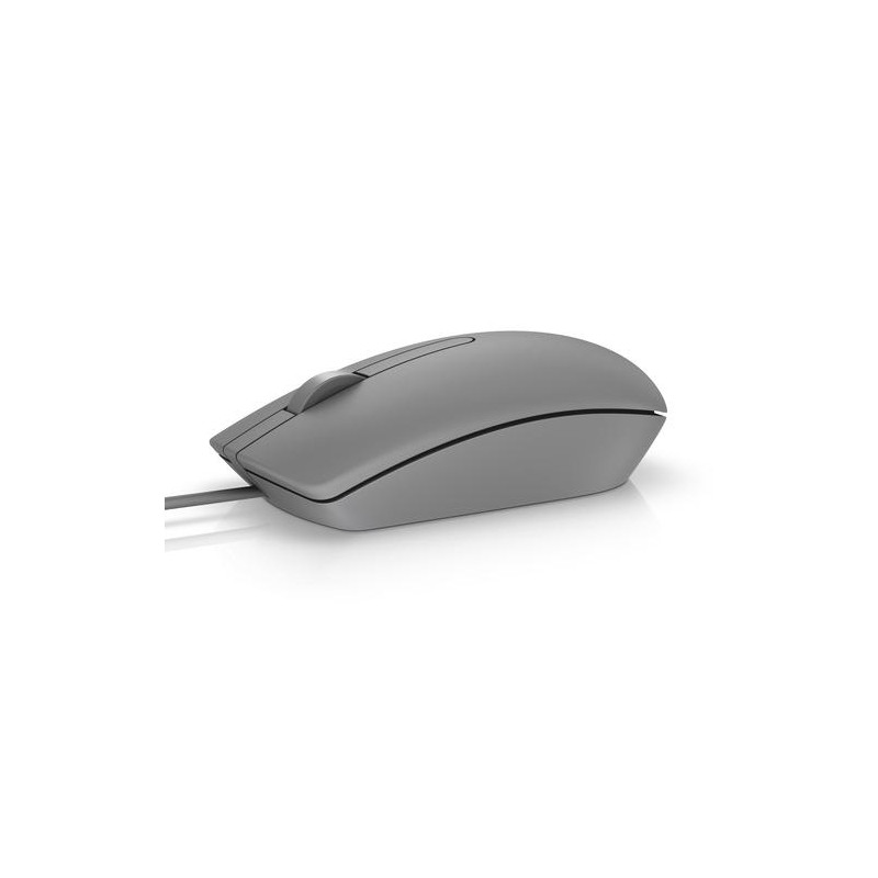 DELL MS116 mouse Ambidextrous USB Type-A Optical 1000 DPI - Mice -  Photopoint