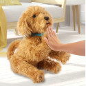 MOJI Interactive toy Labradoodle - English version
